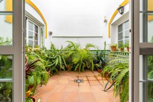 贝莱斯Casa sol的通往种有植物的庭院的开放式门