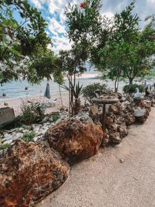内亚卡瓦里step to the sea的海滩上的一群岩石和树木