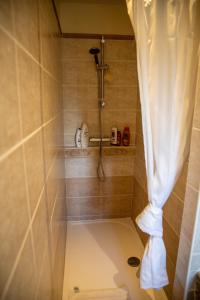 埃皮尼亚克欧伊赛特酒店的浴室内配有淋浴帘。