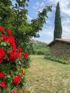 蒙特普齐亚诺La casa dei caprioli appartamento in casale的种着红色花卉和树的花园