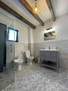 马里瑟尔Black Wood Cabin的浴室配有卫生间、盥洗盆和淋浴。