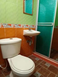 内瓦HOTEL CASA XION的一间带卫生间和水槽的浴室