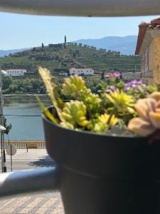 比索达雷加Alojamento Joaninha Douro 2的坐在阳台上的鲜花碗
