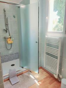 马赛Cosy Studio en résidence privée的浴室里设有玻璃门淋浴