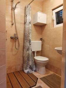 博维茨Glamping Narnia的一间带卫生间和淋浴帘的浴室