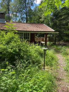 赛夫勒Linhagen Gård的田间中的小房子