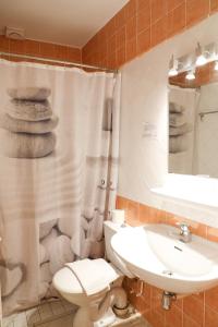 若西耶无忧酒店的浴室配有卫生间、盥洗盆和淋浴。
