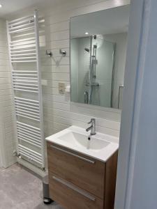 温特斯韦克Villa Frederik with sauna in Winterswijk的浴室配有盥洗盆和带镜子的淋浴