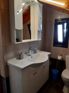 AkamatraTraditional house in Akamatra square的浴室配有白色水槽和卫生间。