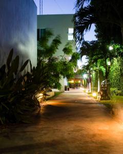 梅里达Casa Xcanatun的一条空的街道,晚上有棕榈树和建筑