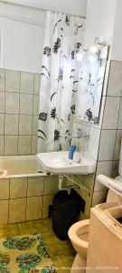 特尔古穆列什Apartment Niceview的一间带水槽和卫生间的浴室