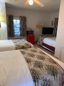 怀尔德伍德Sun Shine的酒店客房设有两张床和窗户。