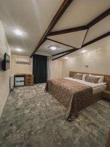 西格纳吉Hotel Traveler的一间卧室配有一张床和一台电视