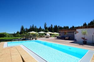 弗罗伊登施塔特祖弗鲁赫特大自然运动酒店的一座带房子的庭院内的大型游泳池