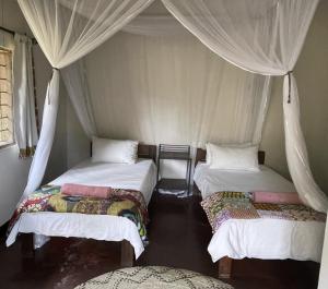 MfuweMarula Lodge的带天蓬的客房内的三张床