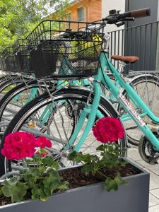 滨湖采尔采尔湖滨湖畔公寓 29的一辆蓝色自行车停在一些花边