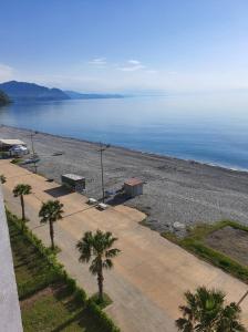 高尼奥Gonio Seaside Residence的水边的棕榈树海滩