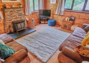 LlanfachrethWnion Wood Lodge with log burner & sauna in Snowdonia的带沙发和壁炉的客厅