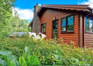 LlanfachrethWnion Wood Lodge with log burner & sauna in Snowdonia的小木屋前方设有花园