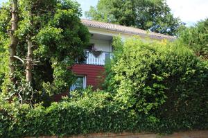 DriedorfFerienwohnung Zum Rosengarten WEST015 Westerwald的红色的房子,有窗户和灌木