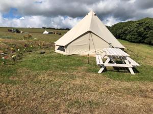 彭布罗克Pop up Pembrokeshire的田野上带长凳的大型白色帐篷