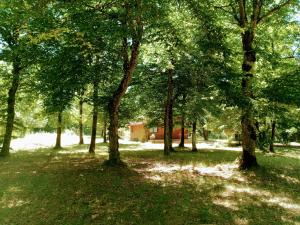 ValpuiseauxChalet en forêt, brame du cerf的一群树木在田野里,有房子在后面