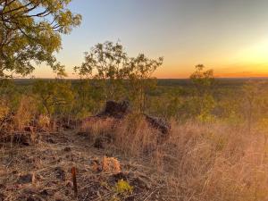 凯瑟琳Gorge View Bush Retreat : Katherine NT的相册照片