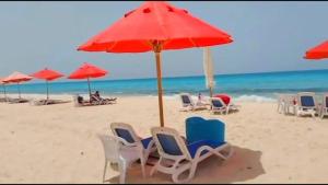 马特鲁港Porto Matruh - Your Family's Peaceful Summer Stay的海滩上的一组椅子和遮阳伞