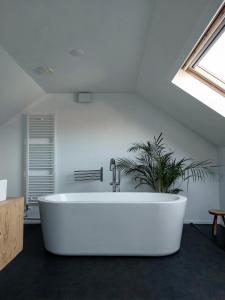 迪斯胡克霍夫克安兹度假屋的植物间里的一个大型白色浴缸