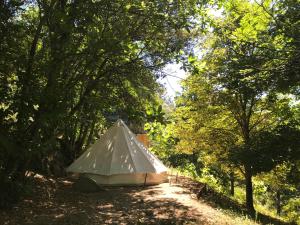 SoudorguesLE PETIT REFUGE DU VAL D’EMERAUDE的森林中间的帐篷