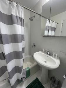 阿默甘西特阿玛甘赛特海洋沙丘公寓的一间带水槽和淋浴帘的浴室