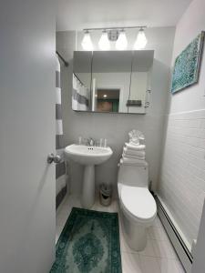 阿默甘西特阿玛甘赛特海洋沙丘公寓的一间带水槽、卫生间和镜子的浴室