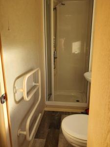 LincolnshireThe Cedars Southview的一间带卫生间和淋浴的浴室