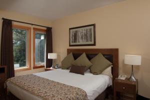 坎莫尔坎莫尔酒店的一间卧室设有一张大床和一个窗户。