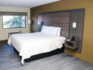 凤凰城Rodeway Inn的酒店客房设有一张大床和电话