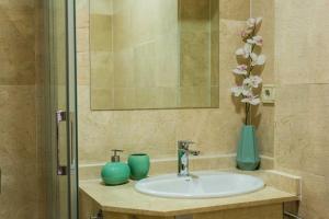 托莱多Toledo Enamora con Garaje的浴室水槽,配有两个花瓶和镜子