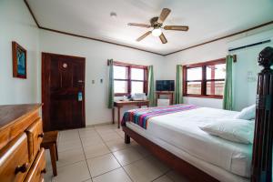 西区Splash Inn Dive Resort & Villas的一间卧室配有一张床和吊扇