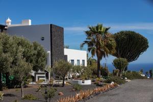 马赫5 Suites Lanzarote的一座白色的建筑,前面有棕榈树