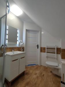 普斯科沃wczasypustkowo的一间带水槽、卫生间和镜子的浴室
