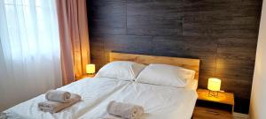 利普托斯基米库拉斯Aquamara Aquapark Tatralandia的一间卧室配有一张床,上面有两条毛巾