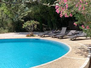 塞里尼昂-迪孔塔L'Enclos的一个带躺椅的游泳池,并种植了粉红色的鲜花