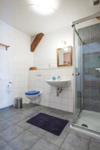 赫亨基尔兴Birkenhof an der Ostsee的带淋浴、卫生间和盥洗盆的浴室
