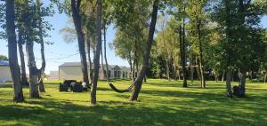 里沃Lumi Resort Domki letniskowe z podgrzewanym basenem的一座有树木和绿草的公园和一座建筑