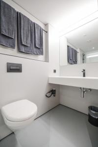 圣加伦基希Revier Mountain Lodge Montafon的一间带卫生间、水槽和镜子的浴室