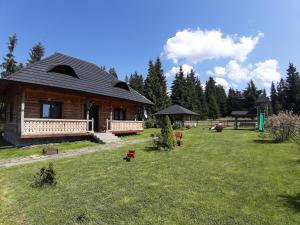 瓦特拉多尔内Căsuța din Povești - Vatra的绿草丛中的小木屋