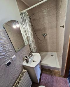 伊沃尼奇-兹德鲁伊Dalia的一间带水槽和镜子的小浴室