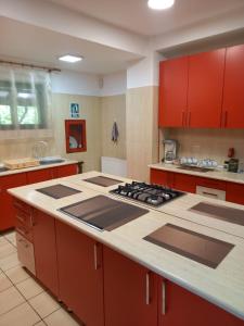 米奥修德萨斯Pensiunea Mario的厨房配有红色橱柜和炉灶烤箱