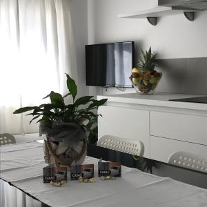 托尔博莱Casa 32的厨房配有植物桌子和电视
