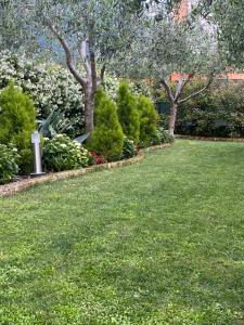 托尔博莱Casa 32的绿草树木和灌木的花园