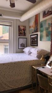 匹兹堡Highland Park Pittsburgh的一间卧室配有一张床、一张书桌和一个窗户。